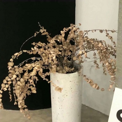 Furry原创作品欣赏福瑞群